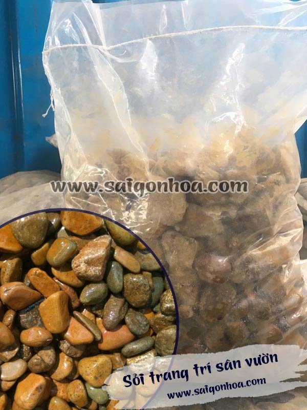 Sỏi trang trí