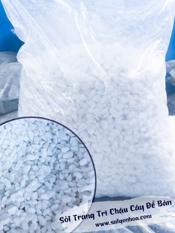 Sỏi Trang Trí Chậu Cây Để Bàn