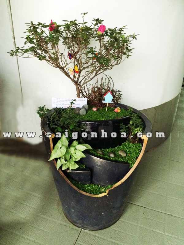 Tiểu Cảnh Cây May Mắn Con Đường Màu Xanh