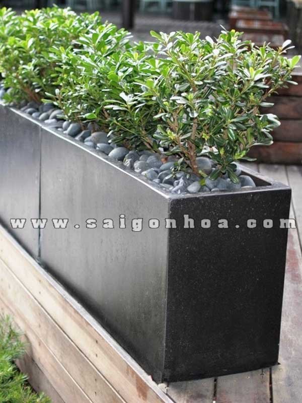 Đá Granite Dùng Trong Sân Vườn