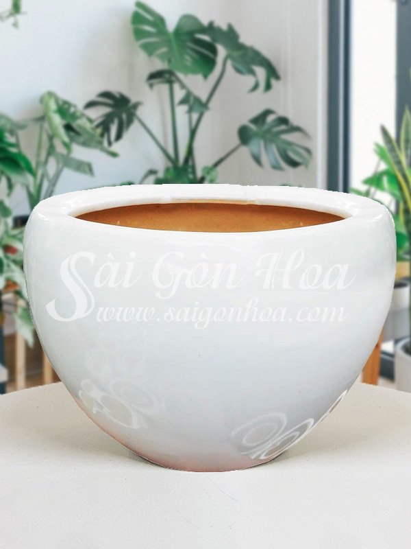 Chậu Sứ Trứng Tròn L1