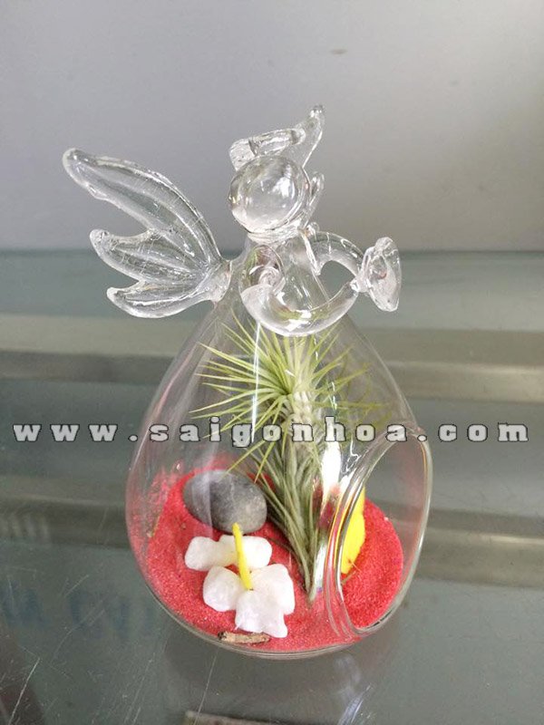 Cây Không Khí Thiên Thần Tình Yêu
