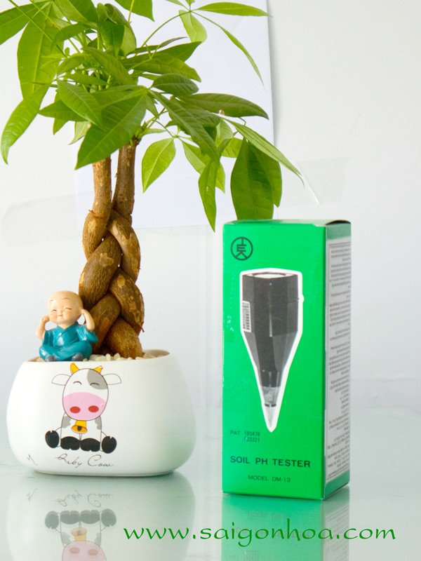Máy Đo Độ pH đất Takemura DM-13