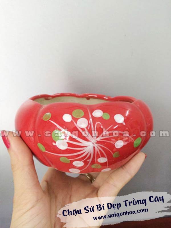 Chậu Sứ Bí Dẹp Trồng Cây