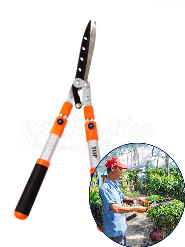 Kéo Cắt Tỉa Cây Cảnh