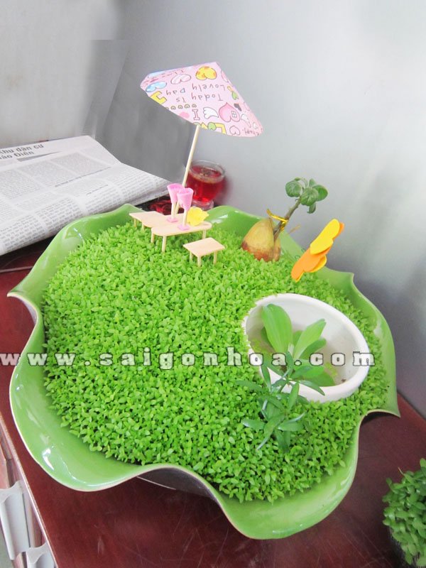Tiểu Cảnh May Mắn Ao Thu