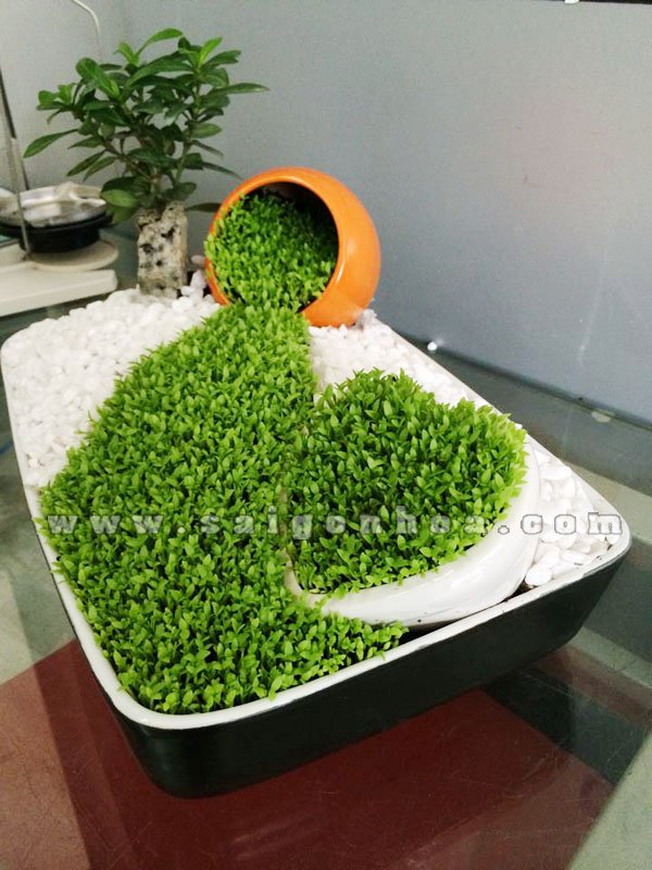 Tiểu Cảnh May Mắn Thứ 7 Máu Chảy Về Tim