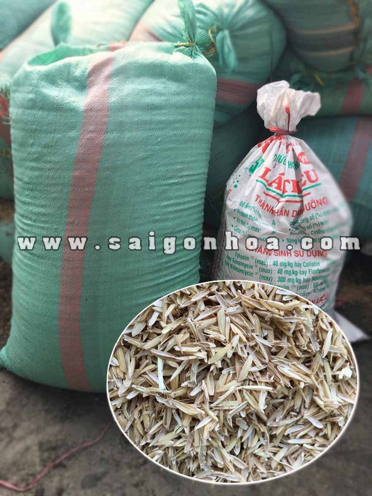 Vỏ Trấu