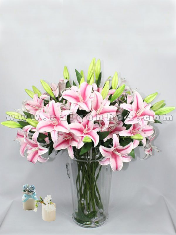 Hoa Lily Trong Nước