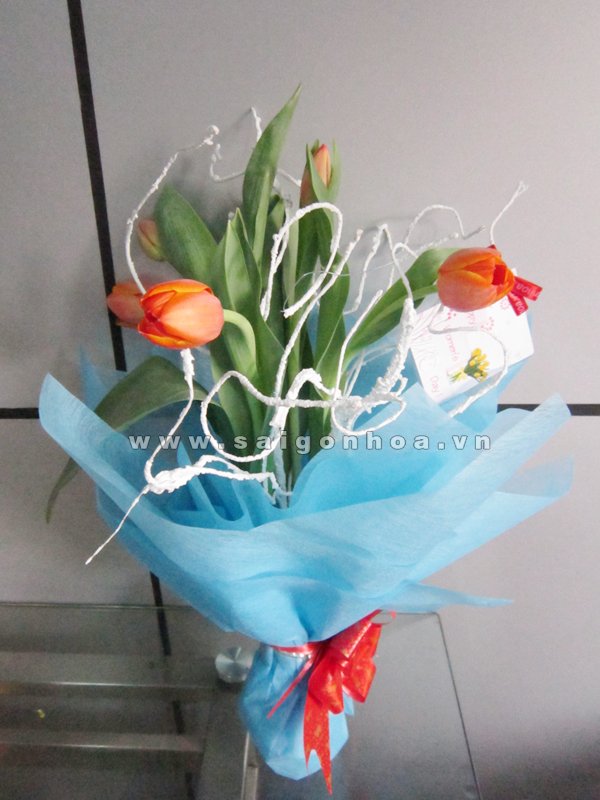 Bó Hoa Tulip