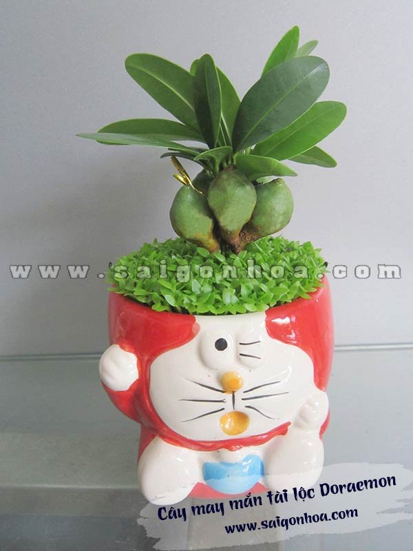 Cây May Mắn Tài Lộc Doraemon Chậu Đỏ