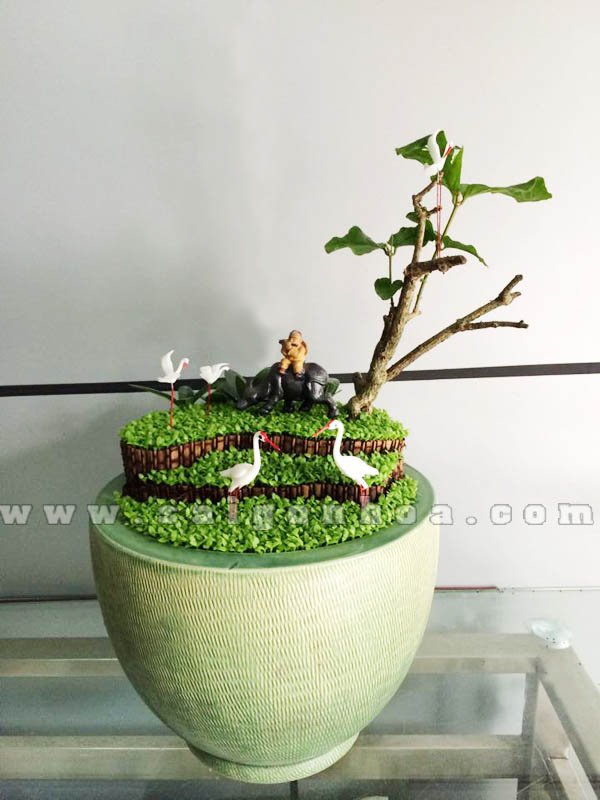 Tiểu Cảnh May Mắn Ruộng Bậc Thang