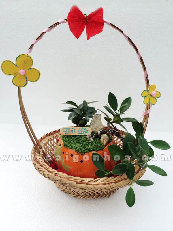 Tiểu Cảnh May Mắn Tài Lộc Giỏ Quà Tết