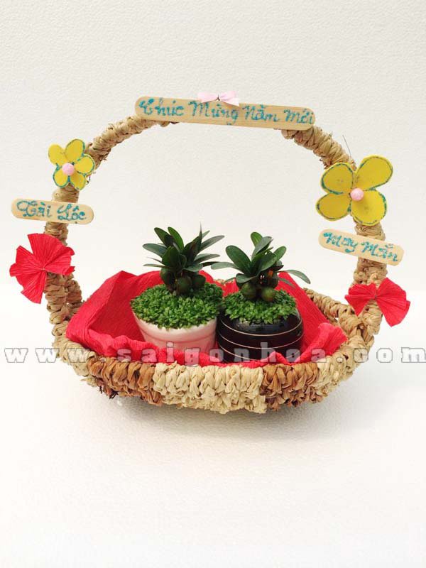 Giỏ Cây May Mắn Tài Lộc Chúc Mừng Năm Mới