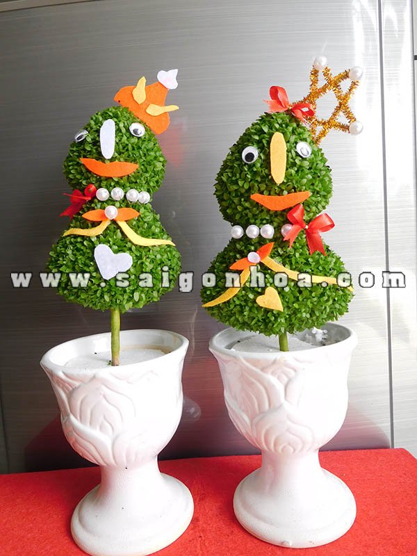 Cây May Mắn Cây Thông Noel Bình Sứ