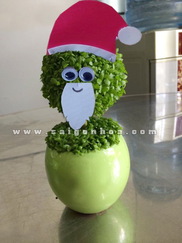 Cây May Mắn Ông Già Noel
