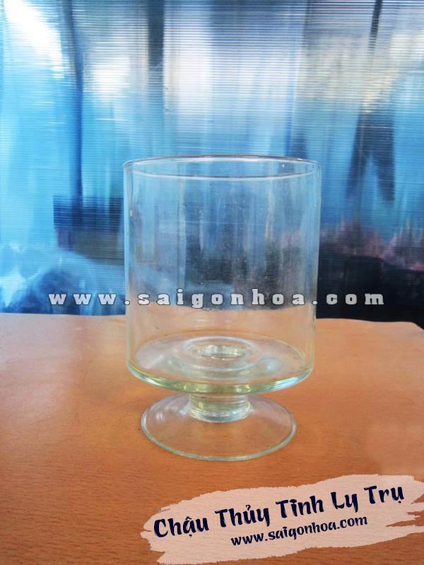 Chậu Thủy Tinh Ly Trụ