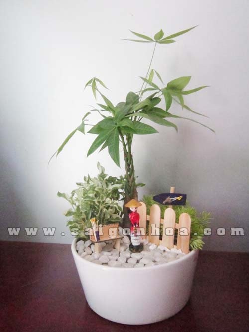 Tiểu Cảnh Kim Ngân Cô Giáo Tôi