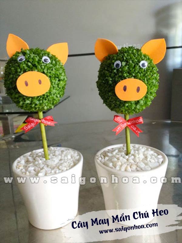 Cây May Mắn Ỉn Con