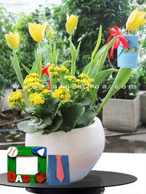 Hoa Sống Đời Ngày Của Cha