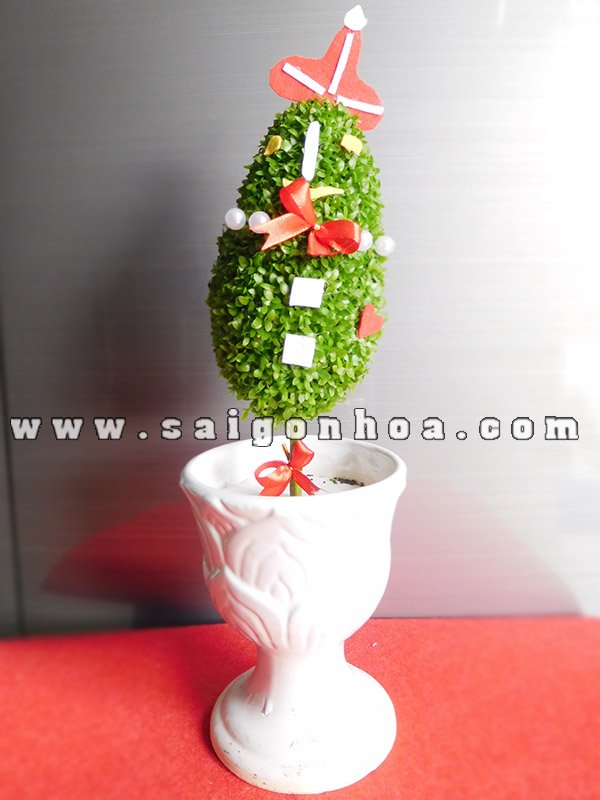 May Mắn Cây Thông Noel