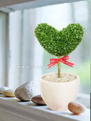 May Mắn Tình Yêu