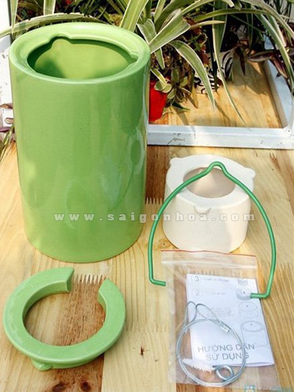 Chậu Treo Ngược Hình Trụ