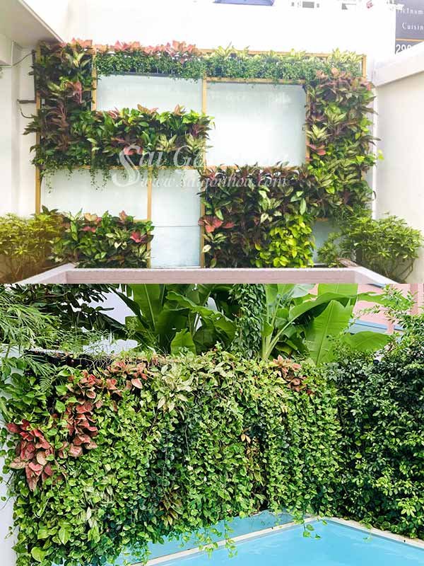 Tường Cây Nghệ Thuật