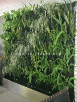 Tường Cây Nội Thất Trong Nhà Hàng