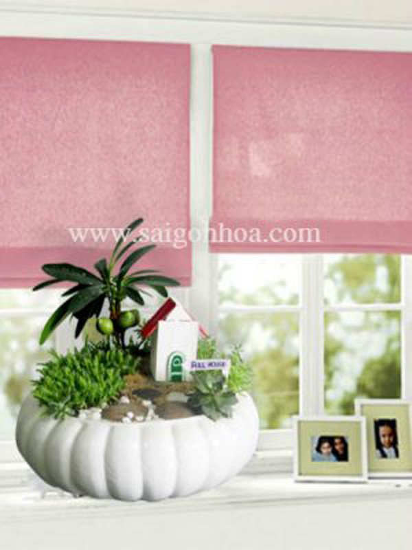 Cây Tài Lộc Tiểu Cảnh Ngôi Nhà Hạnh Phúc