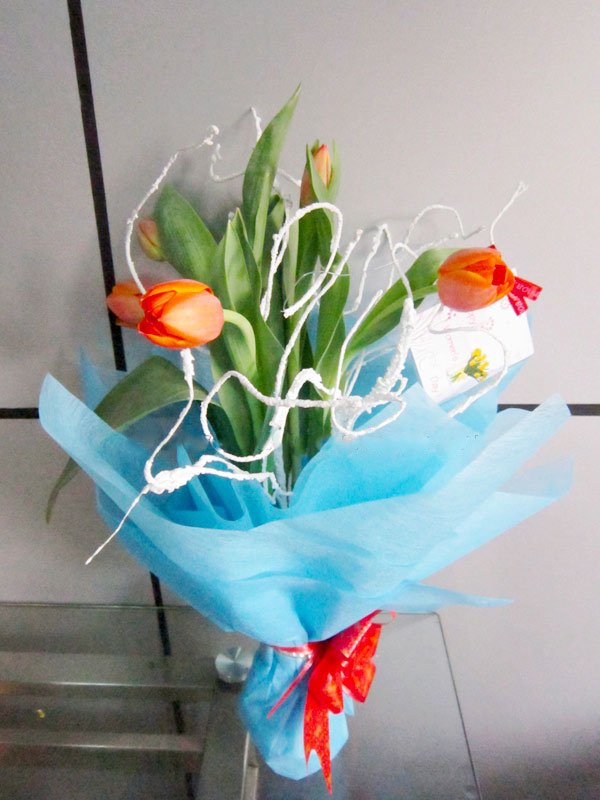 Bó Hoa Tulip