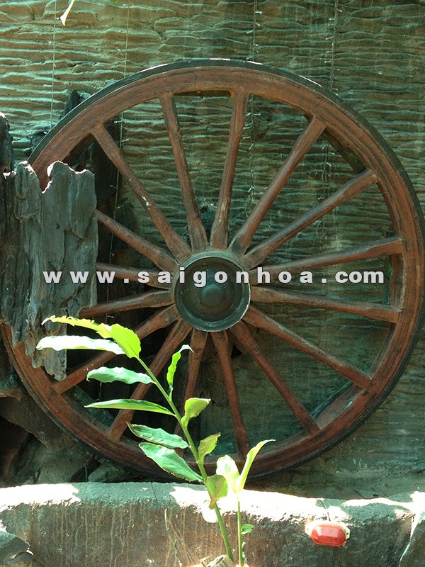 Bánh Xe Bò Trang Trí Hòn Non Bộ