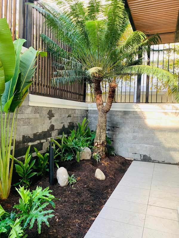 Tiểu Cảnh Sau Nhà