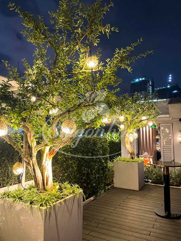 Tiểu Cảnh Trước Văn Phòng Công Ty