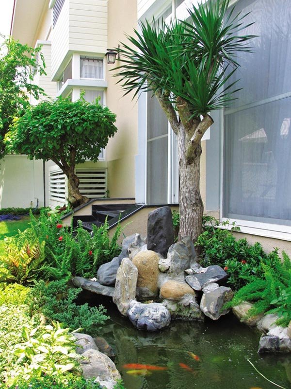 Tiểu Cảnh Trước Sân Nhà
