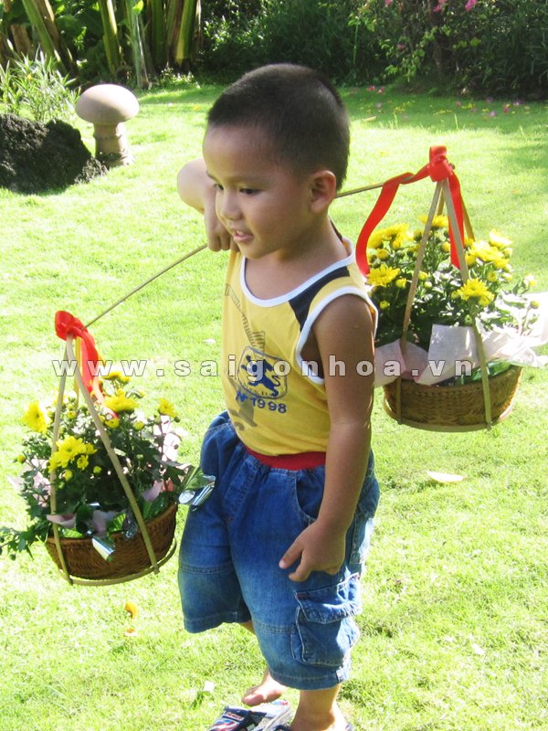 Gánh Hoa Cúc