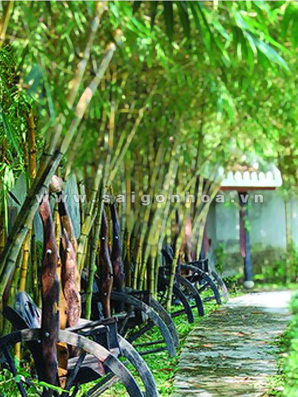 Bánh Xe Bò Dọc Lối Đi