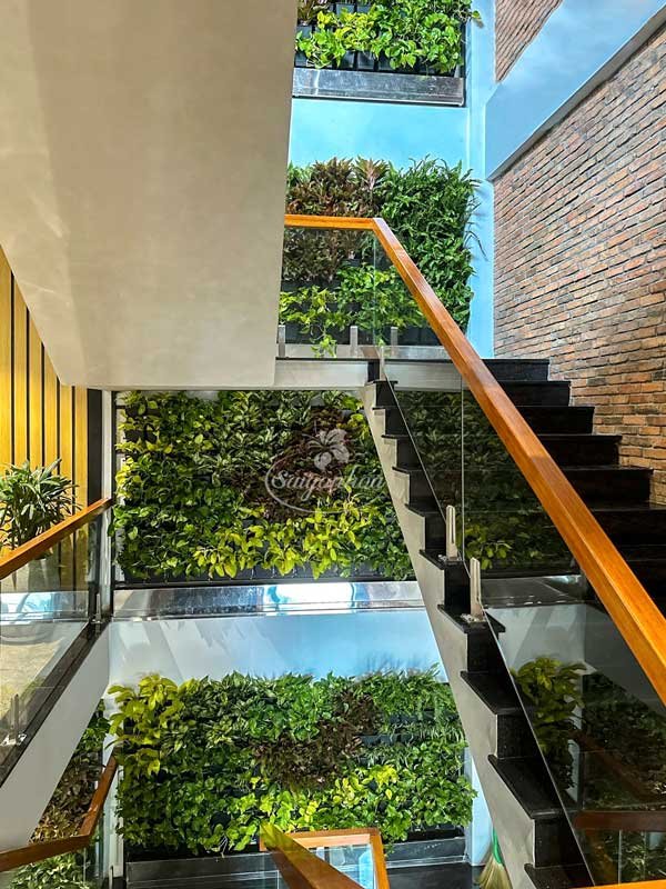 Tường Cây Nội Thất Trong Văn Phòng