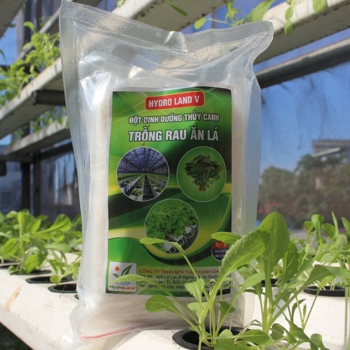 Bột Dinh Dưỡng Thuỷ Canh Dành Cho Rau Ăn Lá Hydro Land V 1kg