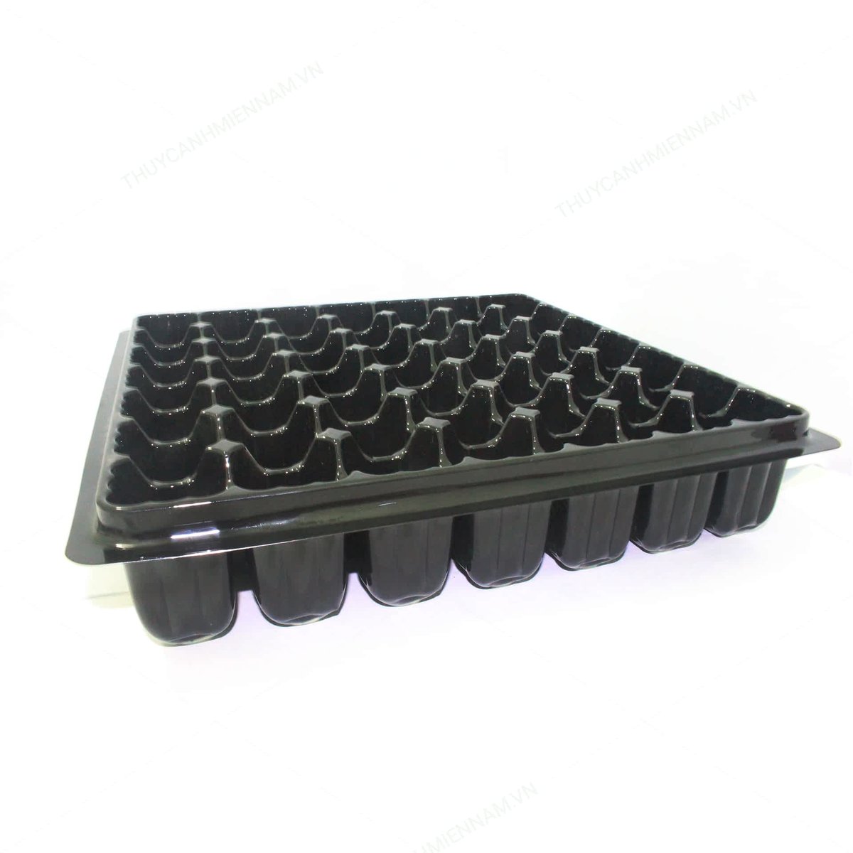 Khay Ươm Cây Giống Bằng Viên Nén Xơ Dừa 49 Lỗ