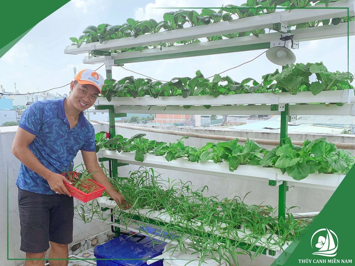 Dịch Vụ Tư Vấn Kỹ Thuật Trồng Thuỷ Canh