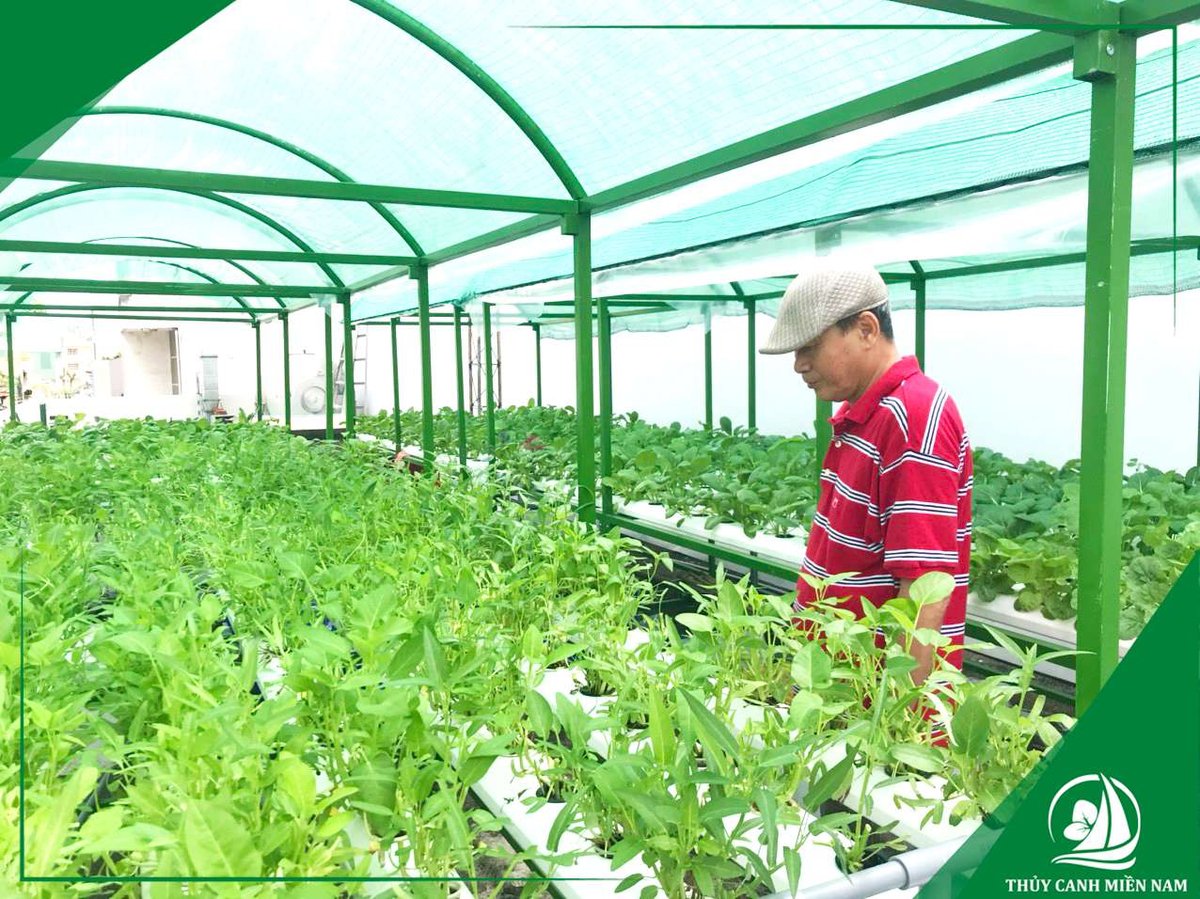 Dịch Vụ Di Dời Giàn Thuỷ Canh