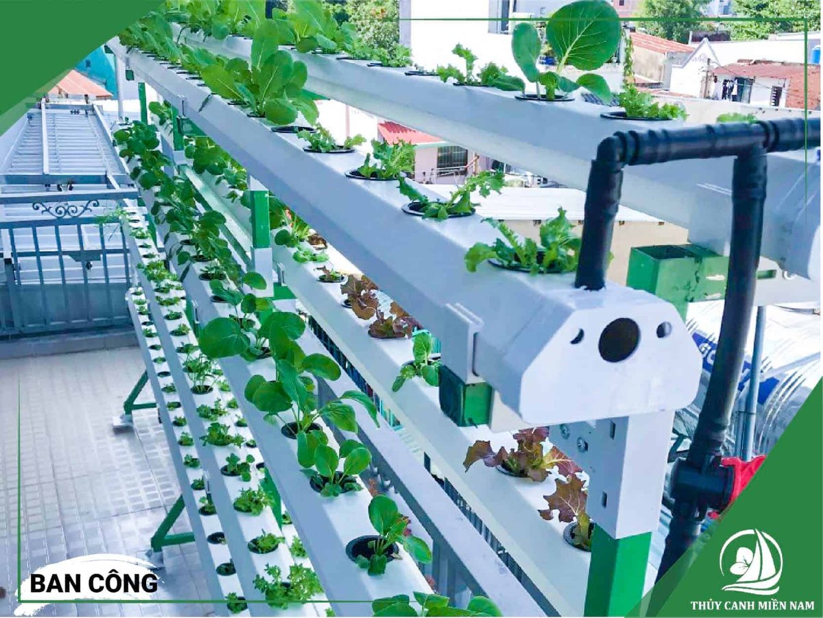 Dịch Vụ Kiểm Tra, Bảo Trì, Bảo Dưỡng Giàn Thuỷ Canh Định Kỳ