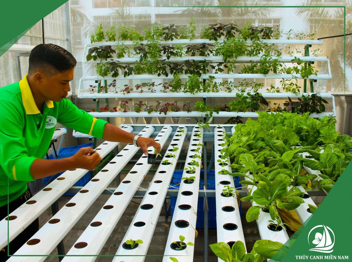 Dịch Vụ Sửa Chữa, Thay Thế Trang Thiết Bị Giàn Thuỷ Canh Tại Nhà