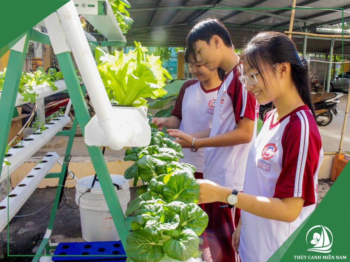 Dịch vụ thiết kế thi công vườn thực nghiệm trường học