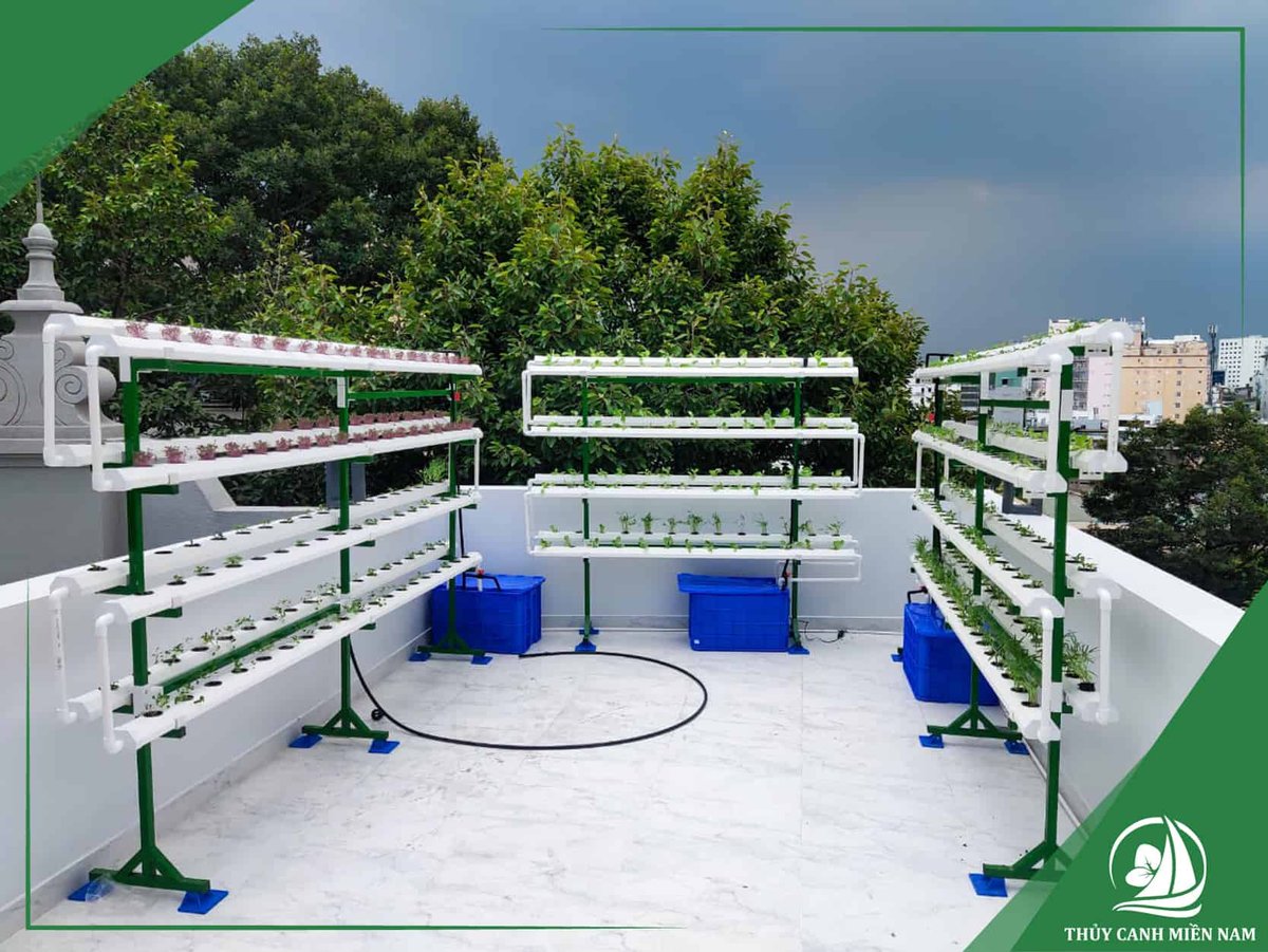 Dịch vụ thiết kế thi công vườn rau biệt thự