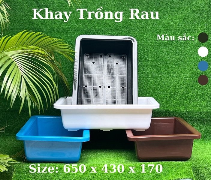 Chậu/Khay nhựa trồng rau