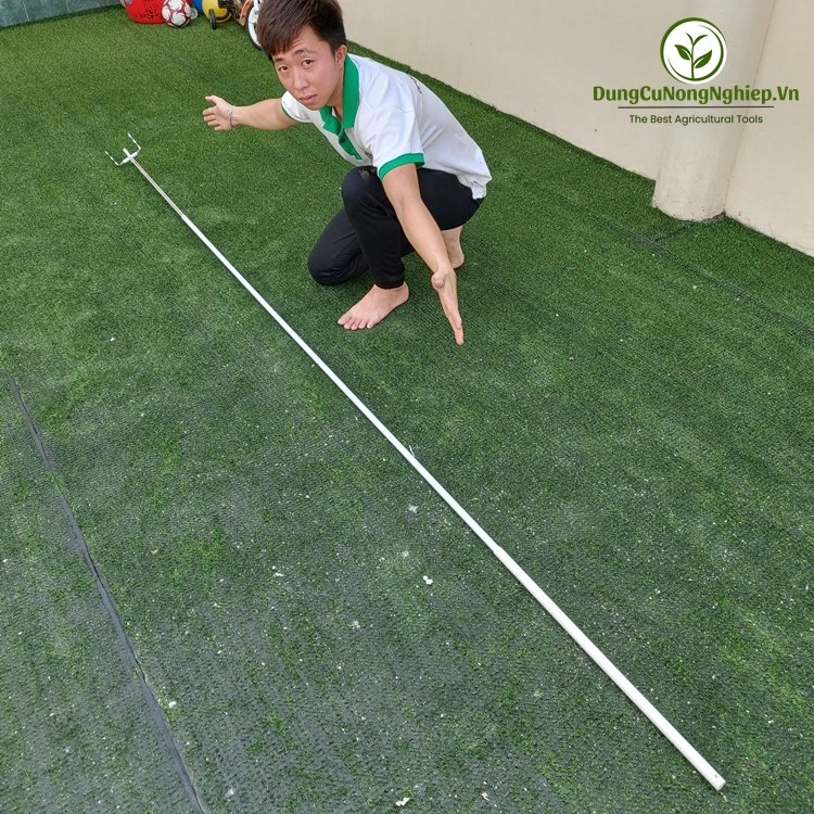 Cần bao trái trên cao