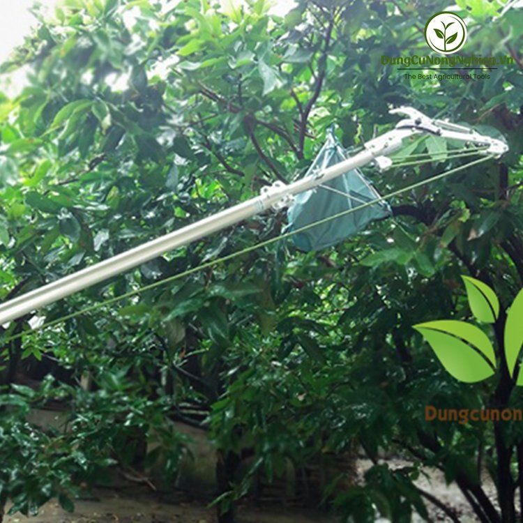 Kéo cắt cành lớn trên cao đa năng (HM2)