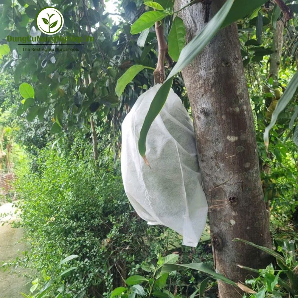 Bao bọc trái mít lớn vải 50x70cm (>15kg)